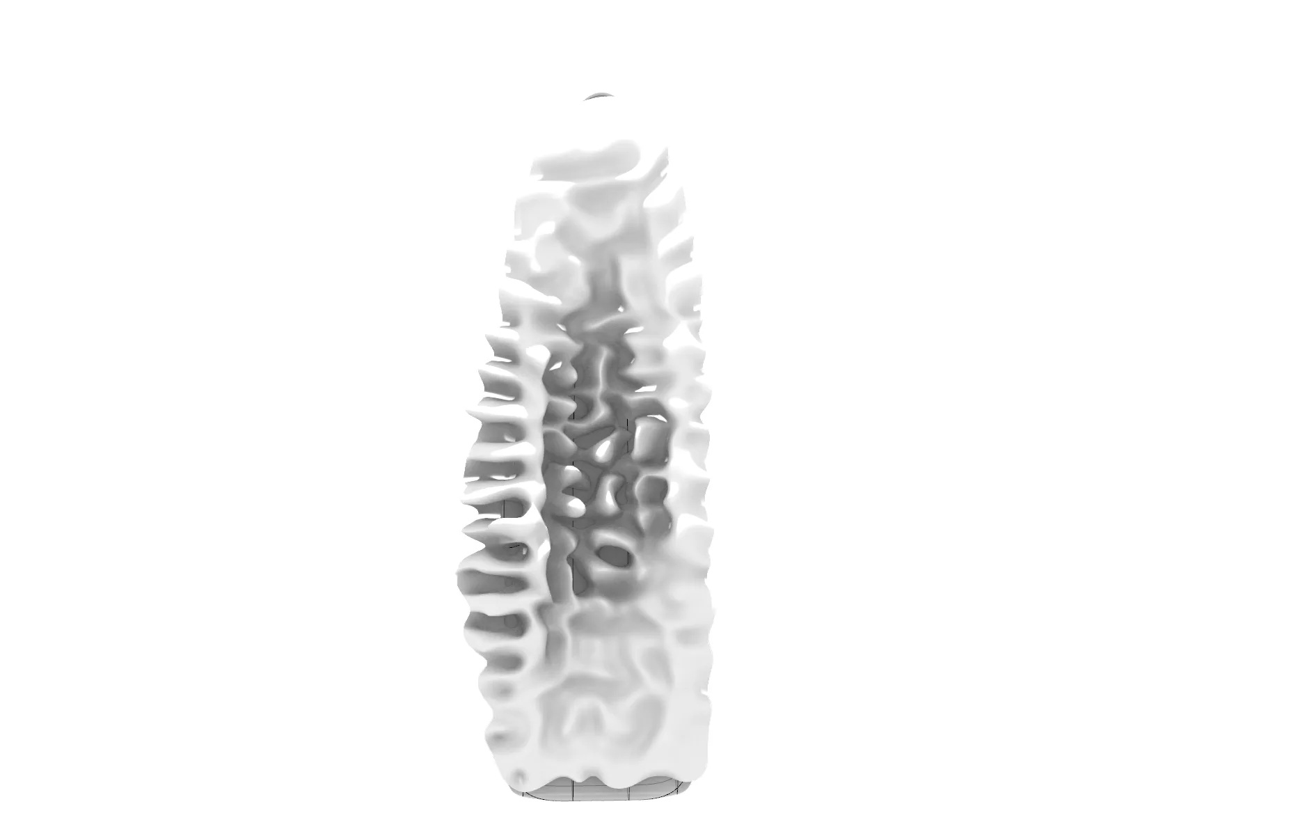Continued coral-like surface development