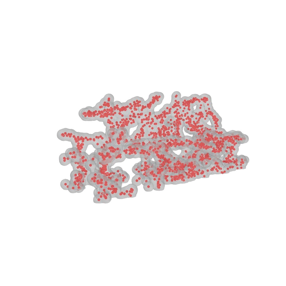 Dense elongated growth footprint