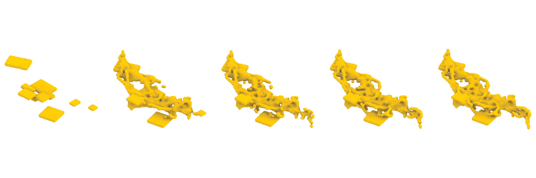 Five-stage slime-mold form evolution
